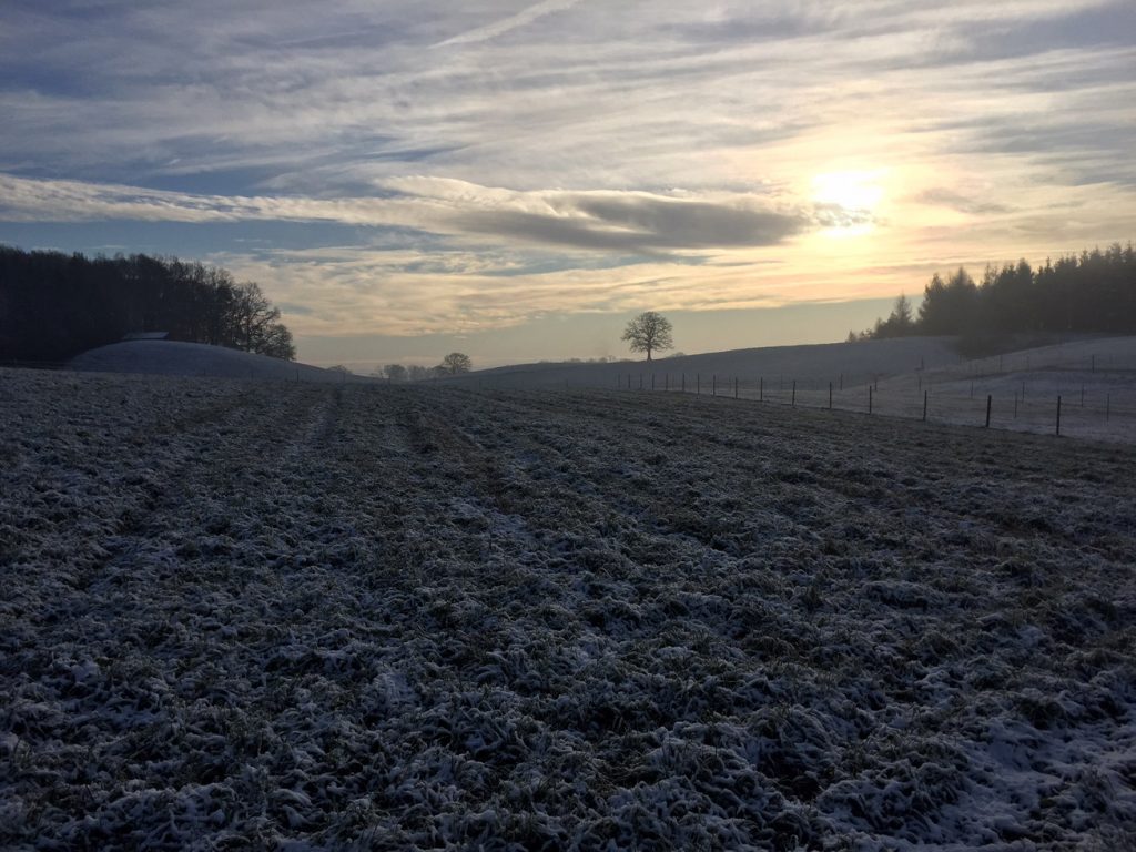 171128 blick hinterm hof nach osten_Größenveränderung