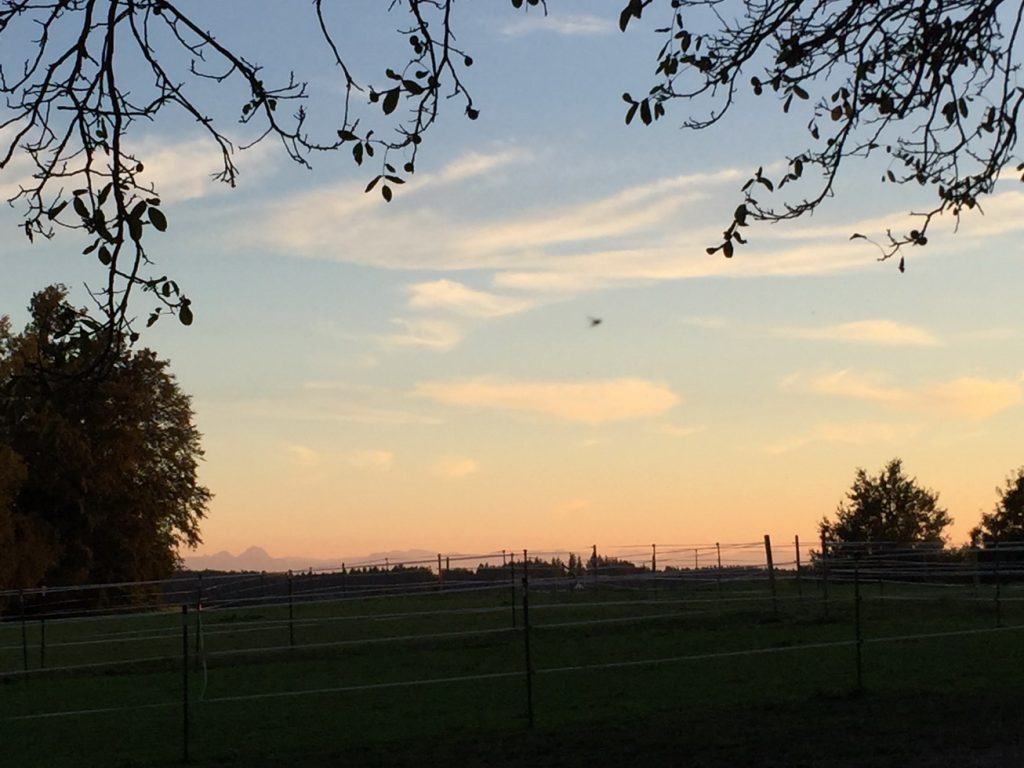 Abendstimmung am Hof Süden_Größenveränderung