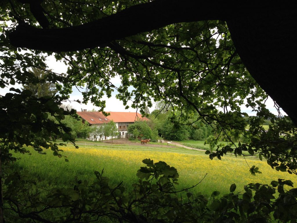 halmberg von norden aus (julius spoerl)_Größenveränderung