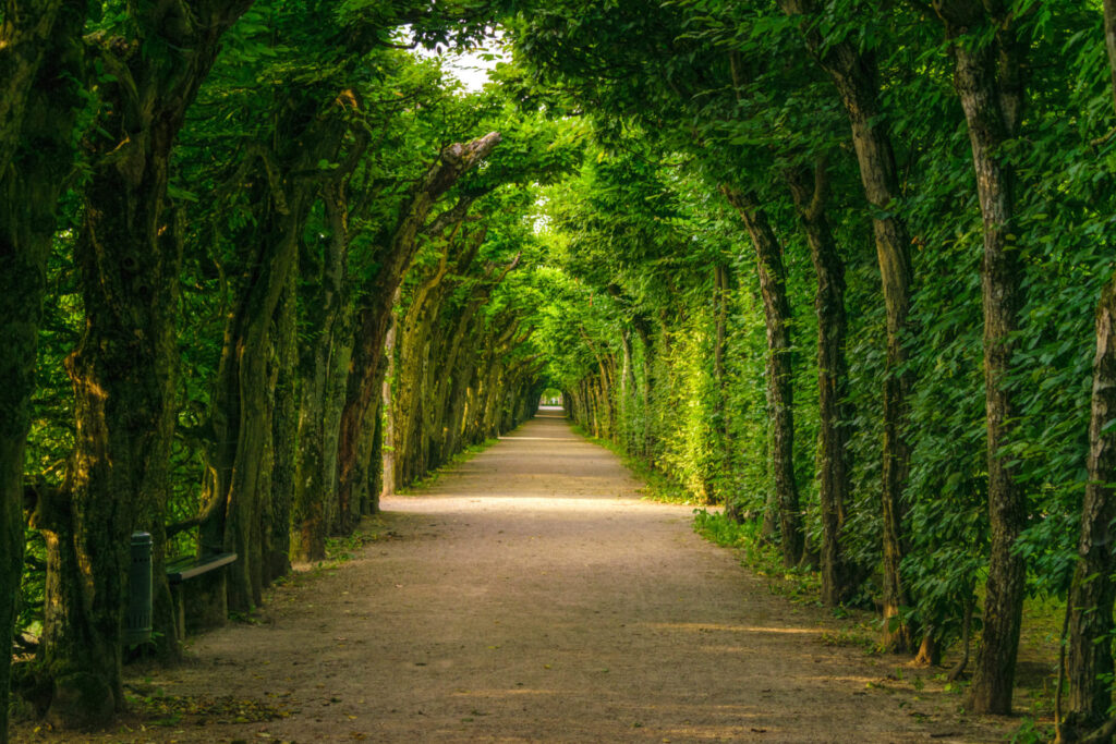 Hermitage copyright Bayreuth Marketing und Tourismus GmbH