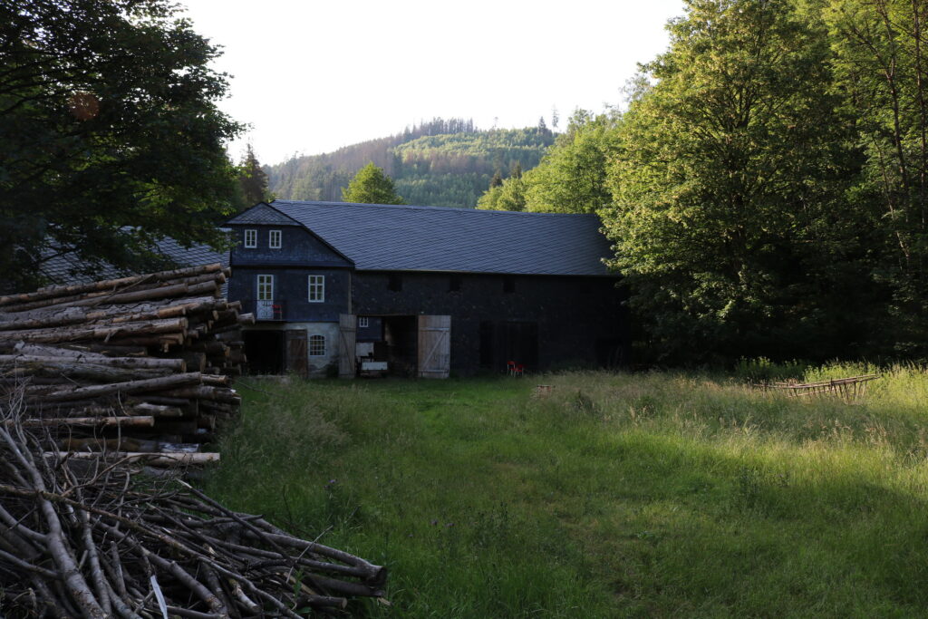 IMG_4284_Größenveränderung