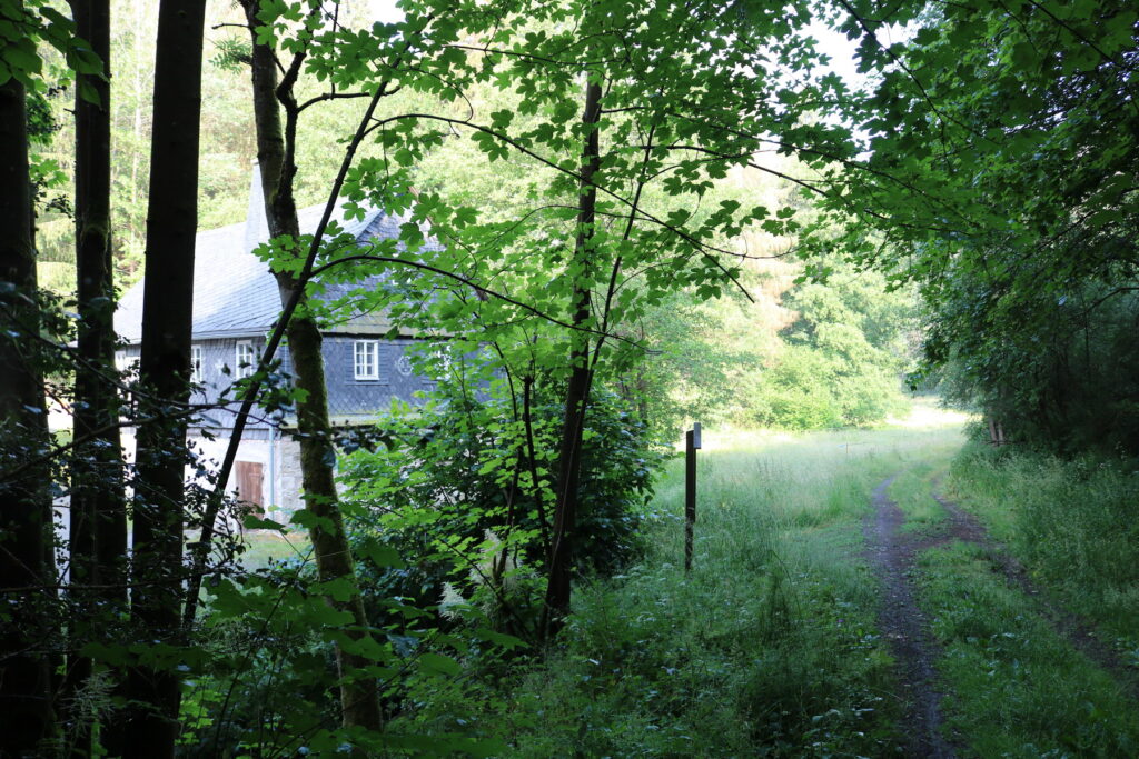 IMG_4303_Größenveränderung
