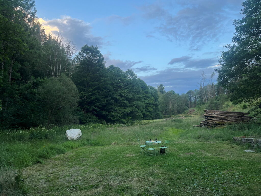 mühle wiese ost abends